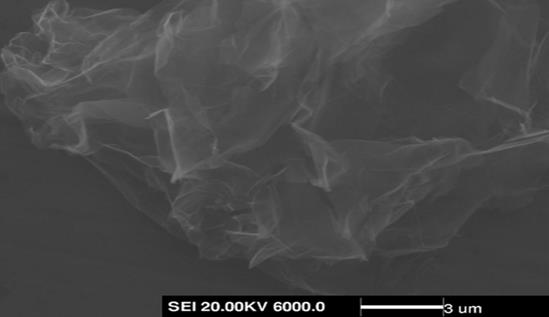 东升国际官网-钻营健全,你我一路成长