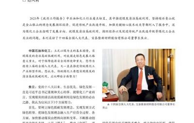 突破传统走绿色转型之路——访十四届全国人大代表、东升国际官网董事长焦云